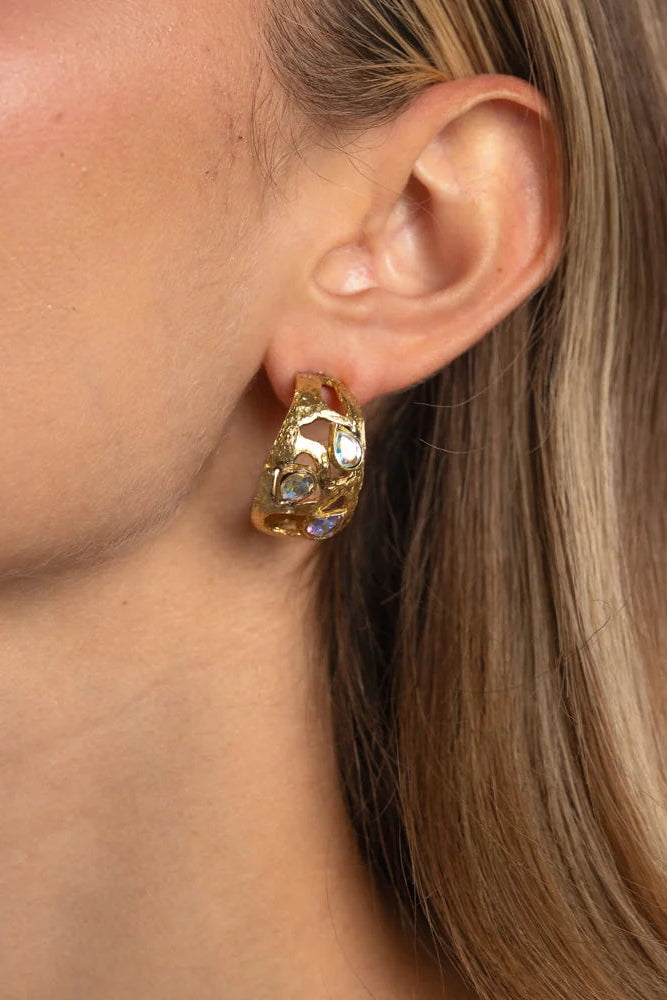 Gloomy Shinny Earrings
